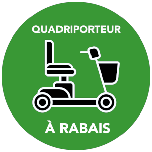 Quadriporteur à Rabais